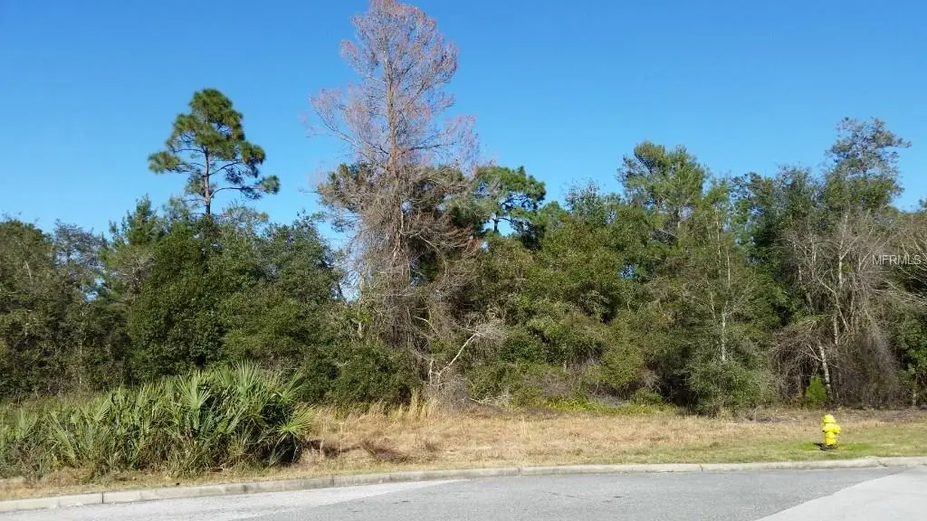 300  SEGOVIA DR ,PUNTA GORDA,33950