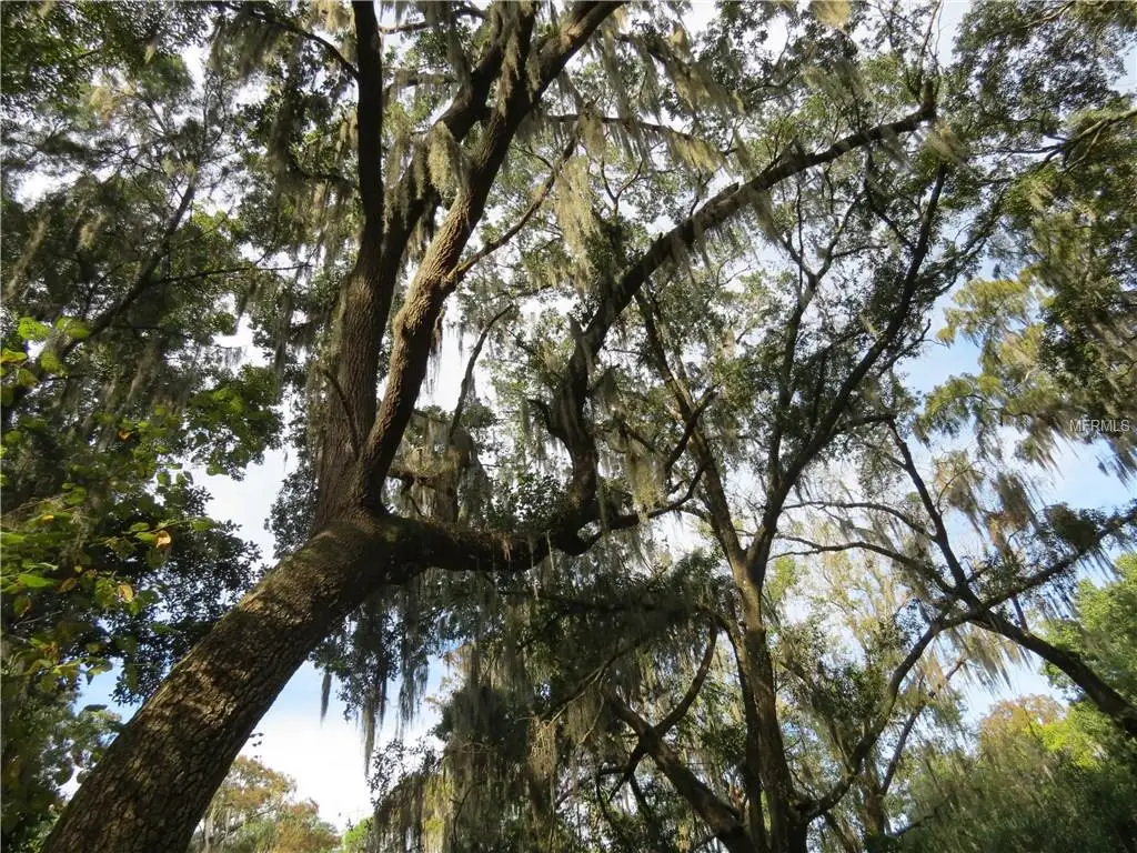 STATE ROAD 60  E,LAKE WALES,33853